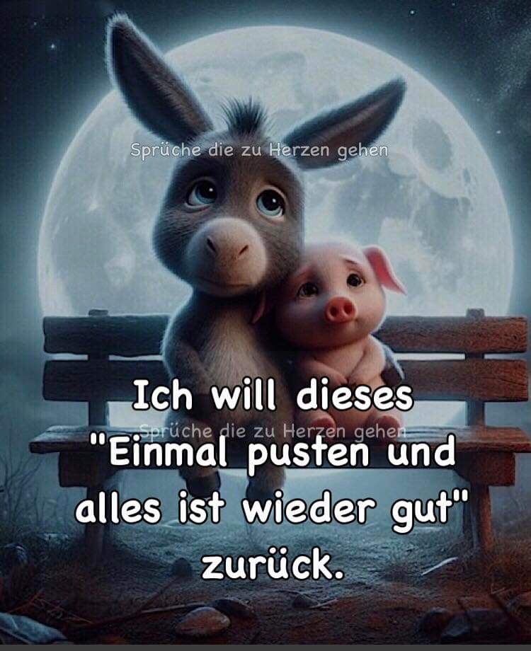 F: Normalität? Was ist das??? Kennen wir&nbsp;nicht